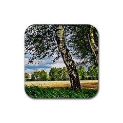 Trees Drink Coaster (square) by Siebenhuehner