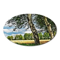 Trees Magnet (oval) by Siebenhuehner