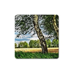 Trees Magnet (square) by Siebenhuehner