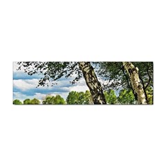 Trees Bumper Sticker 100 Pack