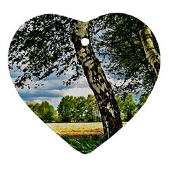 Trees Heart Ornament (two Sides) by Siebenhuehner