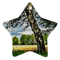 Trees Star Ornament (two Sides) by Siebenhuehner