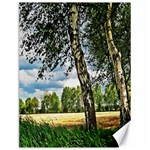 Trees Canvas 12  x 16  (Unframed) 11.86 x15.41  Canvas - 1