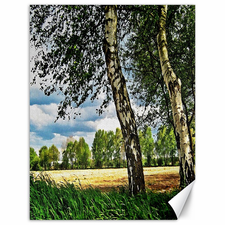 Trees Canvas 12  x 16  (Unframed)