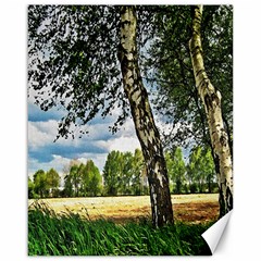 Trees Canvas 16  X 20  (unframed) by Siebenhuehner