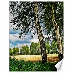 Trees Canvas 18  X 24  (unframed) by Siebenhuehner