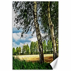 Trees Canvas 24  X 36  (unframed) by Siebenhuehner