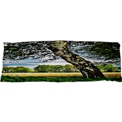 Trees Samsung S3350 Hardshell Case by Siebenhuehner