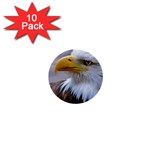 Bald Eagle 1  Mini Button (10 pack) Front