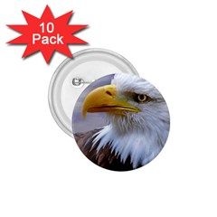 Bald Eagle 1 75  Button (10 Pack) by Siebenhuehner