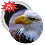 Bald Eagle 3  Button Magnet (100 pack) Front