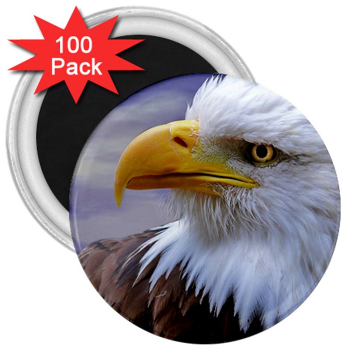 Bald Eagle 3  Button Magnet (100 pack)