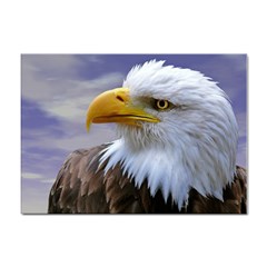 Bald Eagle A4 Sticker 10 Pack by Siebenhuehner