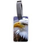 Bald Eagle Luggage Tag (One Side) Front