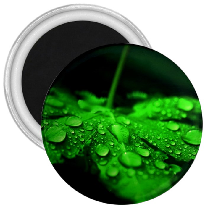 Waterdrops 3  Button Magnet