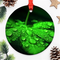 Waterdrops Round Ornament by Siebenhuehner