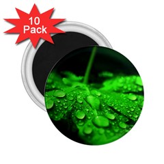 Waterdrops 2 25  Button Magnet (10 Pack) by Siebenhuehner