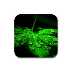 Waterdrops Drink Coasters 4 Pack (square) by Siebenhuehner