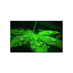 Waterdrops Sticker 10 Pack (rectangle) by Siebenhuehner