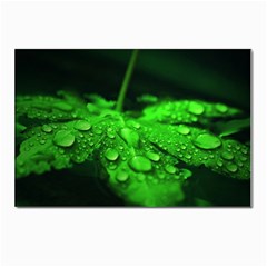 Waterdrops Postcard 4 x 6  (10 Pack) by Siebenhuehner