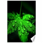 Waterdrops Canvas 12  x 18  (Unframed) 11.88 x17.36  Canvas - 1