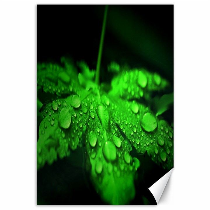 Waterdrops Canvas 12  x 18  (Unframed)