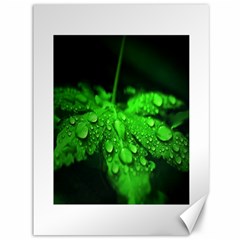 Waterdrops Canvas 36  X 48  (unframed) by Siebenhuehner