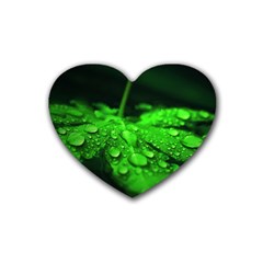 Waterdrops Drink Coasters 4 Pack (heart)  by Siebenhuehner