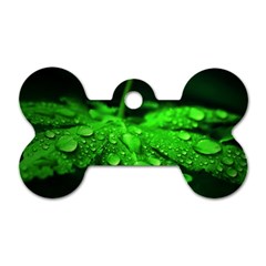 Waterdrops Dog Tag Bone (two Sided)