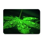 Waterdrops Small Door Mat 24 x16  Door Mat