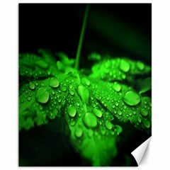 Waterdrops Canvas 11  X 14  (unframed)