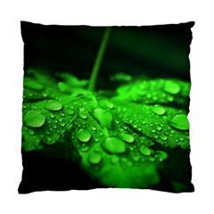 Waterdrops Cushion Case (single Sided)  by Siebenhuehner