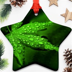 Leaf With Drops Star Ornament