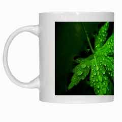 Leaf With Drops White Coffee Mug by Siebenhuehner