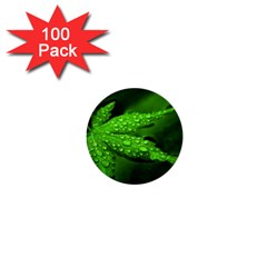 Leaf With Drops 1  Mini Button (100 Pack) by Siebenhuehner