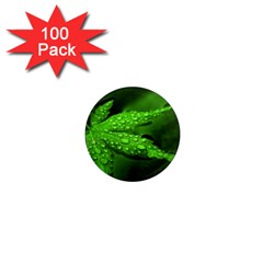 Leaf With Drops 1  Mini Button Magnet (100 Pack) by Siebenhuehner