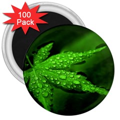 Leaf With Drops 3  Button Magnet (100 Pack) by Siebenhuehner