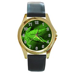 Leaf With Drops Round Metal Watch (gold Rim)  by Siebenhuehner