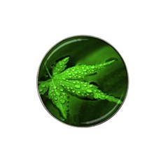 Leaf With Drops Golf Ball Marker (for Hat Clip) by Siebenhuehner