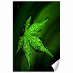 Leaf With Drops Canvas 24  X 36  (unframed)