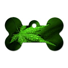 Leaf With Drops Dog Tag Bone (two Sided)