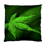 Leaf With Drops Cushion Case (Single Sided)  Front