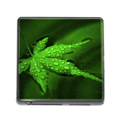 Leaf With Drops Memory Card Reader With Storage (square) by Siebenhuehner