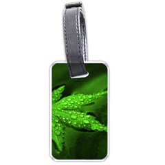 Leaf With Drops Luggage Tag (one Side) by Siebenhuehner