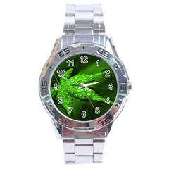 Leaf With Drops Stainless Steel Watch (men s) by Siebenhuehner