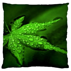 Leaf With Drops Large Cushion Case (two Sided)  by Siebenhuehner