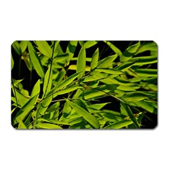 Bamboo Magnet (rectangular) by Siebenhuehner