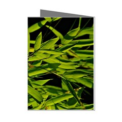 Bamboo Mini Greeting Card (8 Pack) by Siebenhuehner