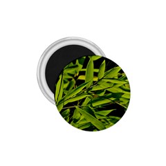 Bamboo 1 75  Button Magnet