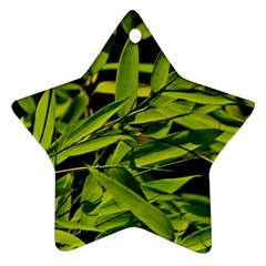 Bamboo Star Ornament by Siebenhuehner